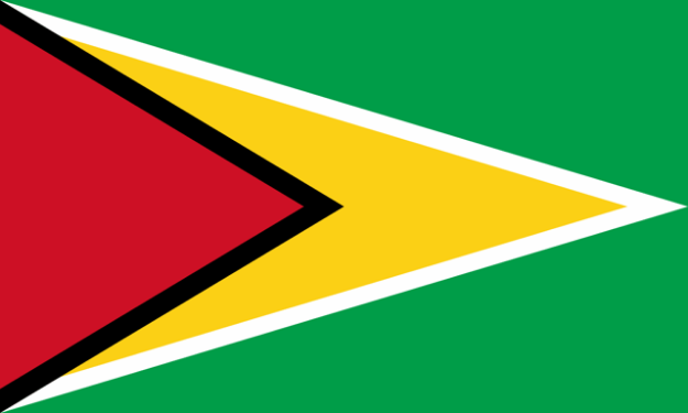 Vlag Guyana - 100x150cm Spun-Poly